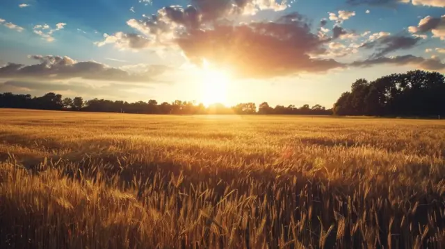 L’hypnose pour traiter les allergies