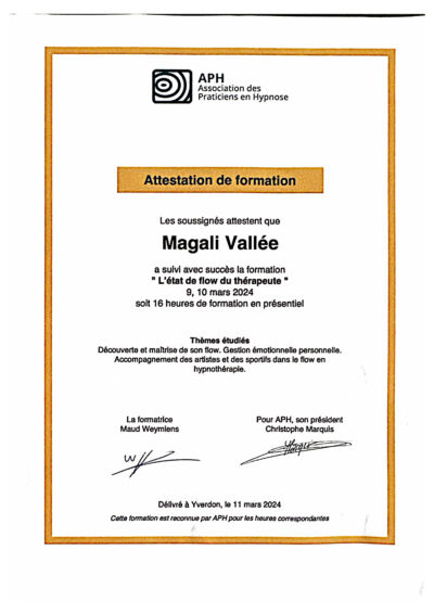 Etat de flow du thérapeute