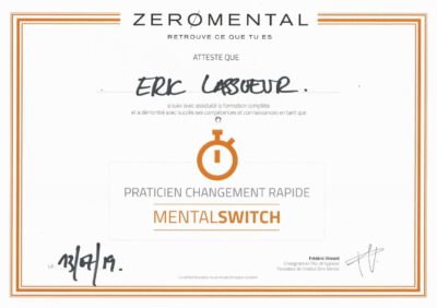 Diplôme Frédéric Vincent - 1 Mental Switch